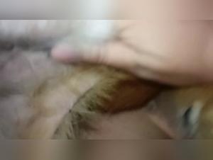 Dog Sex Reactions 103/144: Woman Gets Fucked