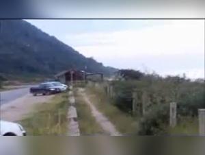 Elephant fucks bitch: Zooskool 3