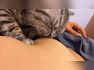 katzenlust : sinnliche nässle verführung