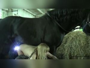 Putin Chica Perro Parte 1