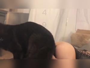 Lady Wolf - 犬とのワイルドファック