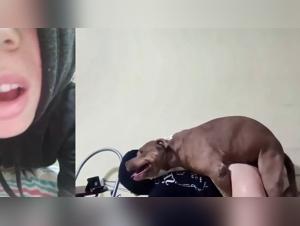 Frau Dog Sex 110/144