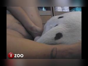 monika: bestialità, schiava e cane immenso