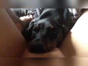 Puta brutalizada por perro, sexo extremo