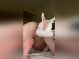 Dirty Bitch Dog Sex XXX