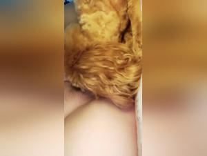 sesso con cane: videos porno bestiali