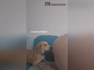 Dog Bangs Hardcore Babe