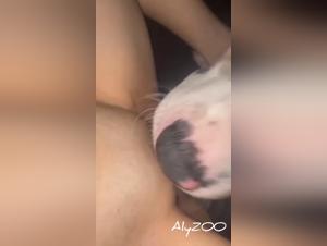 女と彼女の犬、動物のキス