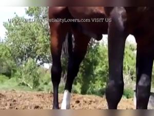 Happen in Weedings: Schlampe fickt Teufelshund