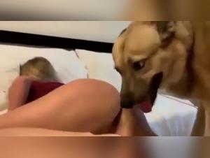 Girl Dog Sex Footage XXX