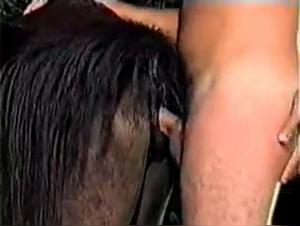 Hure lässt sich von ihrem Hund befriedigen, Sperma auf ihr Gesicht