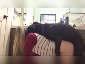 Perro abusa en 'Who Let the Dogs Out' (PMV)