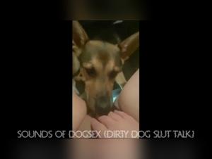 Pute e Cane: Scoperta Estrema