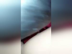 Chihuahua Sale Pute Part 3