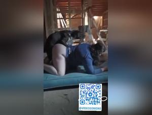 Hund vergewaltigt Frau