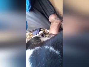 Pruta och Hund - Pornografi HD