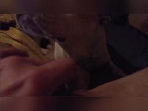Dog Licks aslut