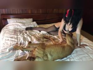 Putas montando perros - Hotel Cow Girl escena explícita