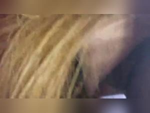 Milly Horse Fuck Spain TDK