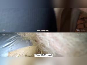 Ariel - Chien Défonce, Bonheur Brut