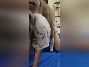 Slut Dog Fuck Part 1