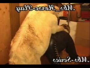 Compilation Sesso Cavallo: LustMonster Estremo