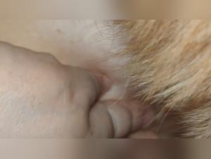 Salope Baise Chien Tits