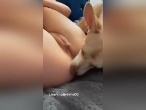 Ragazza Exceptionale Sessualità Canina