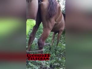 Woman Dog Sex - Extreme Porn Videos