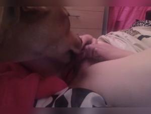 Dog fucks Bitch Part 1