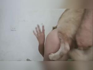 Chien Baise Salope Vidéo