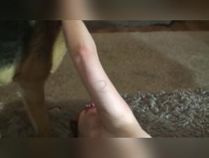 Salope baise son chien vidéo XXX