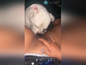 putain succhia il cazzo del cane: sesso bestiale