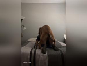 tonårsflicka ensam hund sex hemma