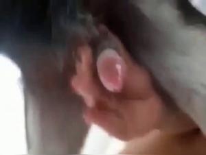 Dog Fucks Woman Part 1