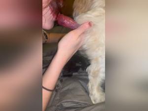 Hund Sex mit Frau - Hardcore