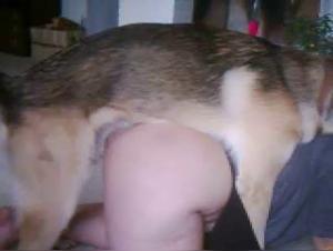 Geliebte Dog Sex - Geheimnisvolle Freunde 1