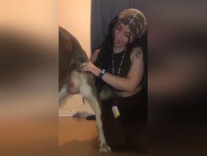 wild dog bestiality porn