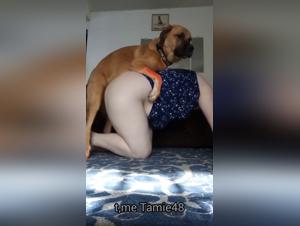 bestialità sfrenata