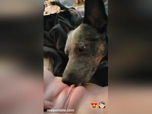mädchen dog beischlaf wild