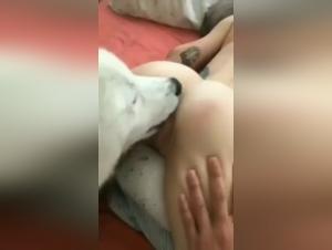 fiebriger k9 genuss