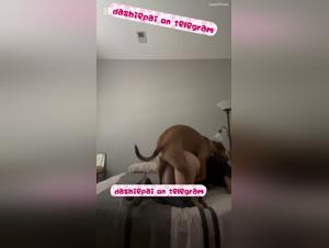 jugend allein, tierischer wilderlust, porno hardcore