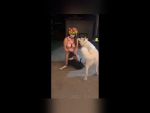 dyrlig kjærleik, hund og kvinne