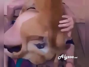 doppio rapporto cane, sesso animale bestiale