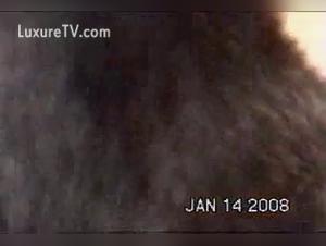 Latina Slams Dog Pt3