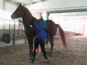 Olga Dog Sex Extreme Video