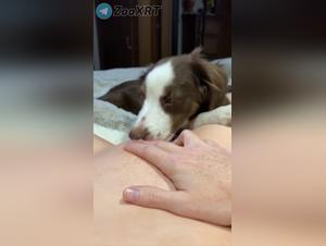 tierische schmutz-lust, hundeküsse