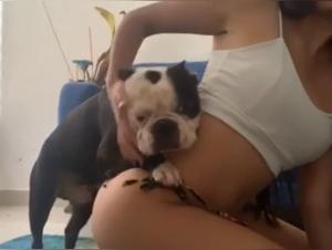 Teen Pussy Reit Hund - Extreme Porn