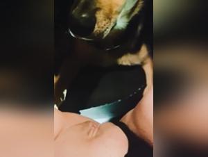 doggo porno bestiale