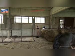 Masha Baise Cheval X